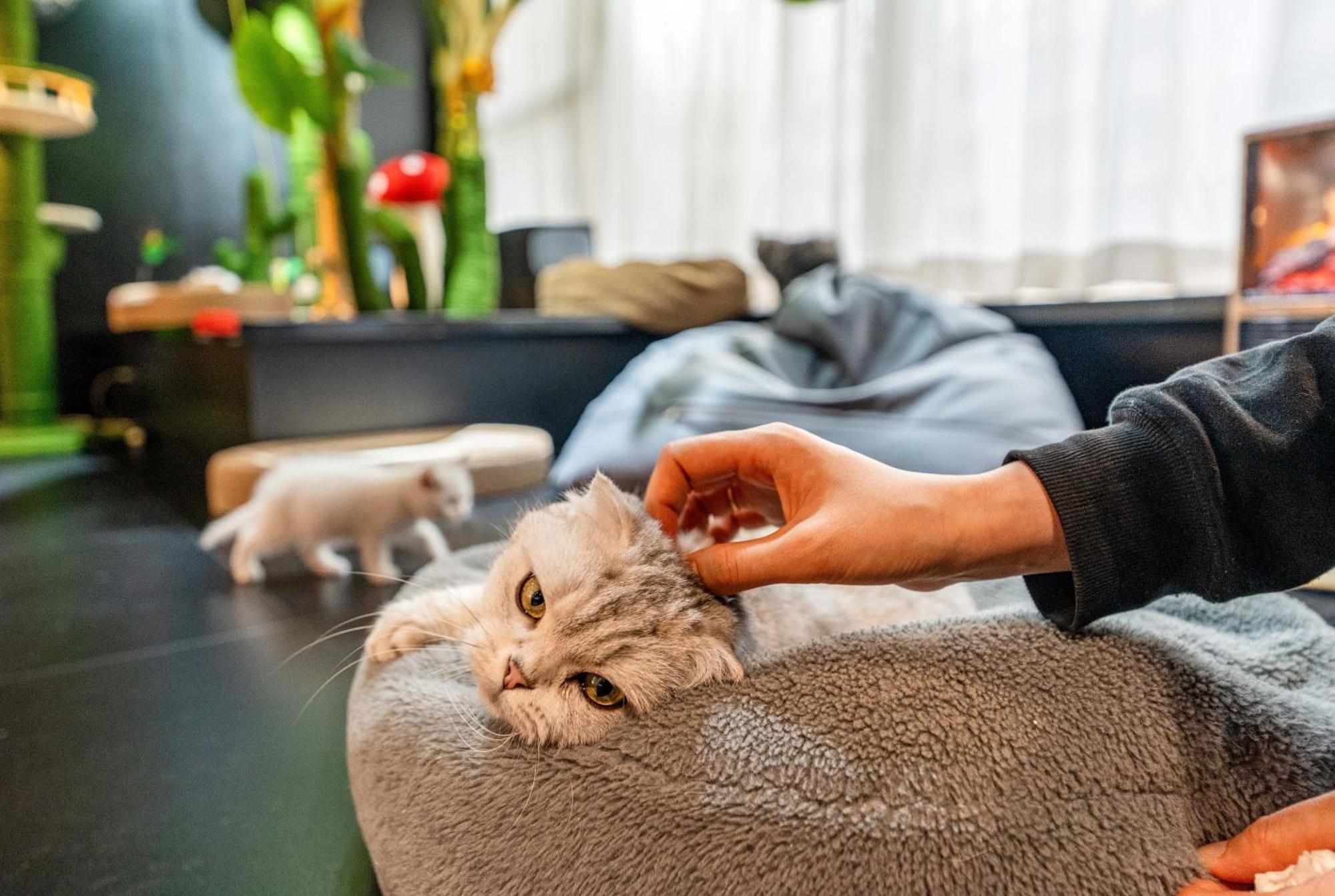 Hesu Designer Hotel & Suites -Near Xi'An Drum Tower And Yongning Gate -Free Laundry Luggage Storage -Kitty Cafe With Freshly Ground Coffee -24H Front Desk -English Service Esterno foto